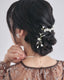 モデルがパールヘアピンを複数使いしてアレンジしたヘアスタイルの背面 パターン２ ゴールド