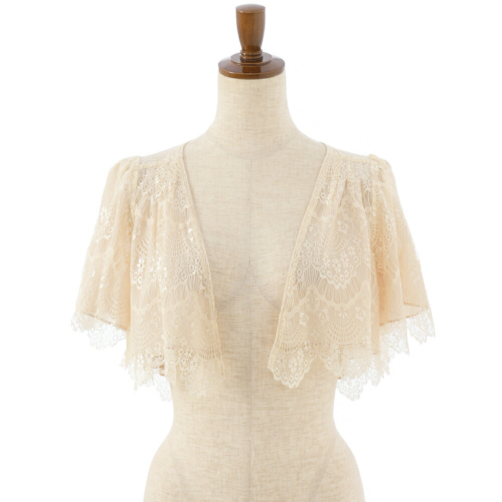 パーティーボレロ